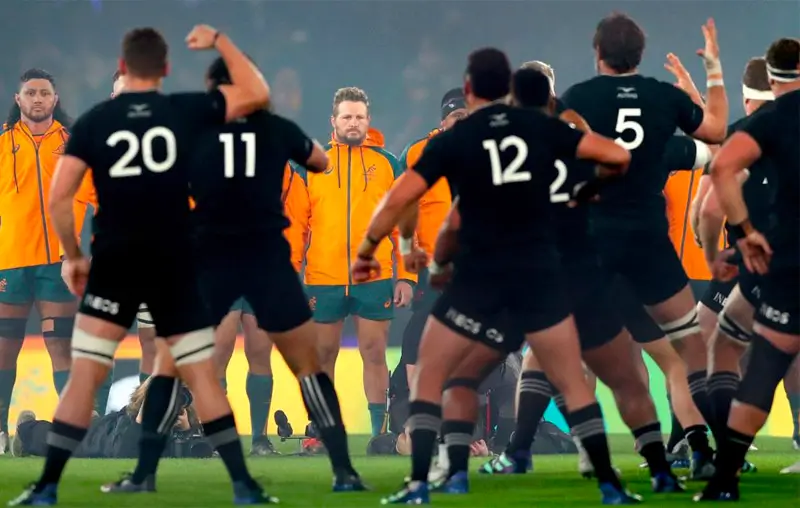 Дрю Митчелл оценивает шансы Wallabies на победу над All Blacks