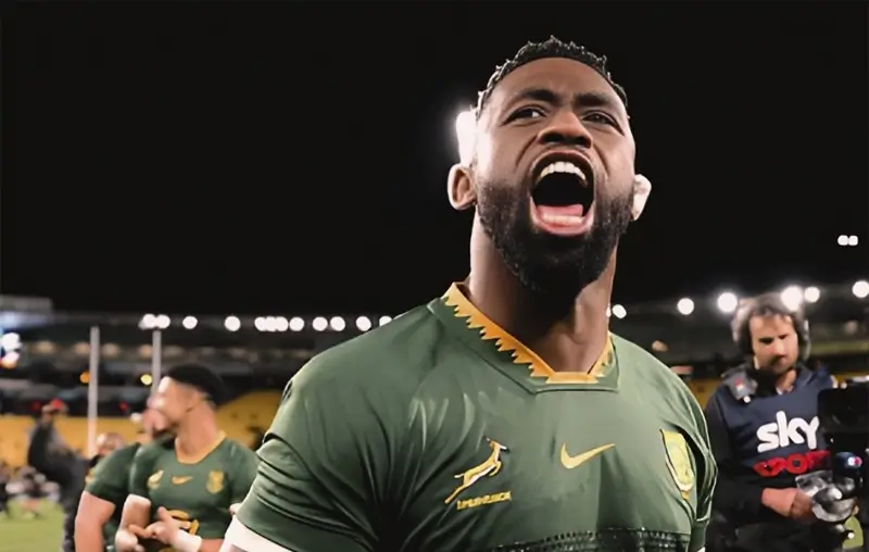 Springboks показали новое лицо: от грубой силы к искусству разрушать и восхищать