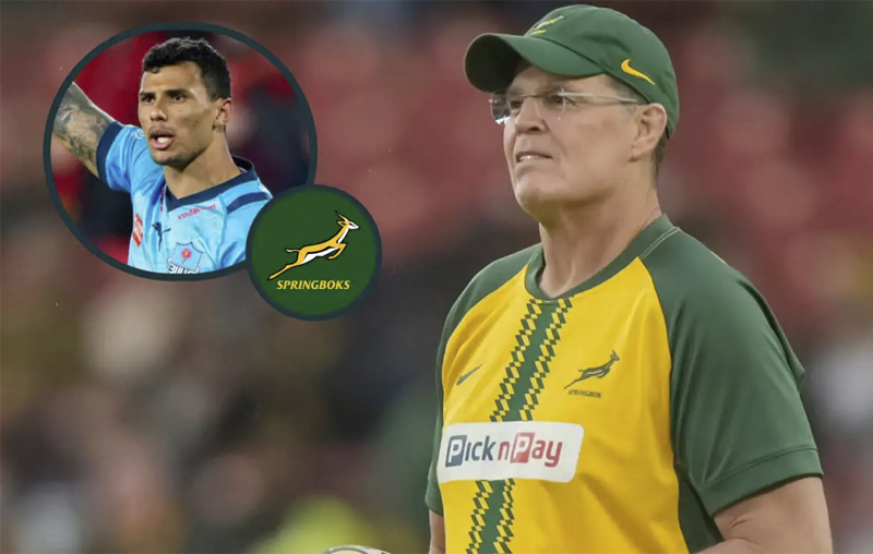 Springboks: Рэсси Эрасмус наконец даёт шанс стабильно игнорируемой звезде и вызывает двух новичков на тренировочный сбор